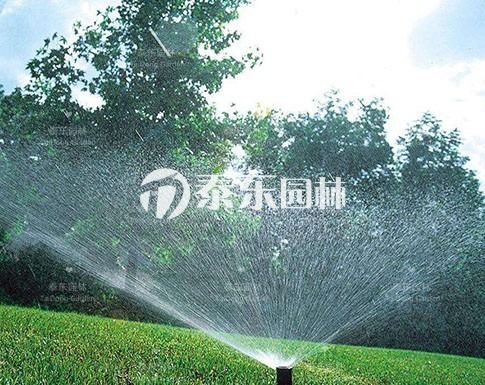 园林绿化灌溉，四大方式你了解多少？