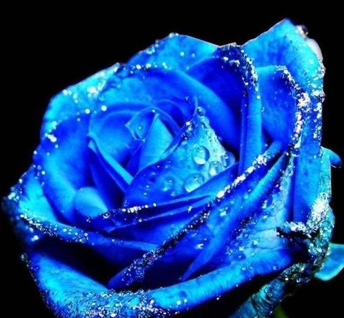 价格基准线揭秘