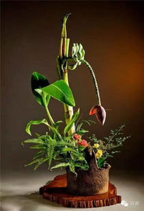 插花中的第一主枝：引领与平衡的艺术