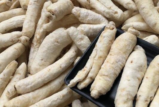 海蛤壳的功效与作用有哪些？食用方法是怎样的？