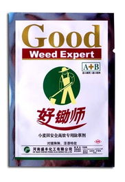 大蒜苗后除草剂的使用