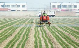 农药的效力与喷洒后的等待时间