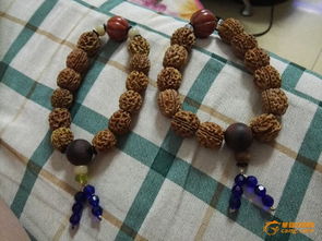 手串材质分类：金刚菩提手串