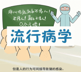 应对猪瘟，加强防疫监测