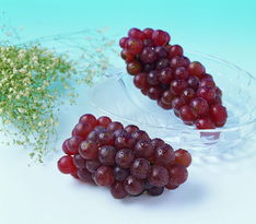 草莓和葡萄种植户们注意啦！江西禾益20%腐霉利农药， 专治灰霉病、菌核病和腐烂病，高效平安，轻松守护你的果园，让果实geng加甜美健康。