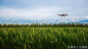 施药方式影响喷洒面积