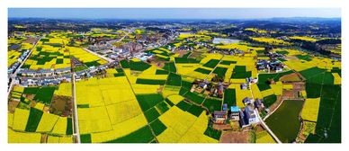 淅川的宝贝， 数不尽的美味