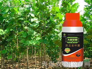 苏云金杆菌：杀虫又生根，真的是这样吗？