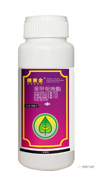 不同剂型，如何选择？