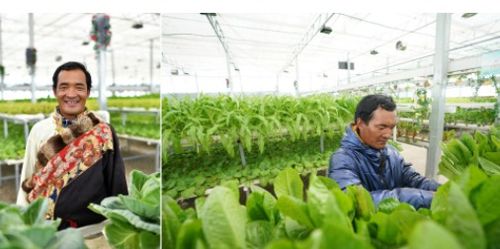 泡椒：贵州人的Zui爱