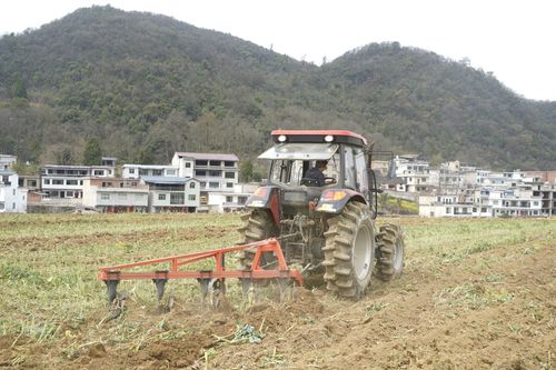 春耕季免费领种子的机会