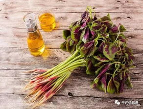 年轻人与集市的互动