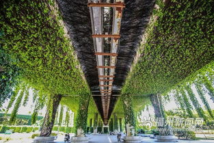 城市文化特色体现