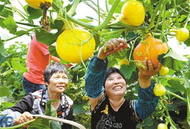 天然饵料与尖峰山：自然的馈赠