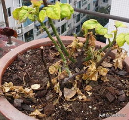 早期防范， 关键在于细节