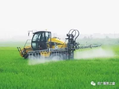 胃毒剂：害虫的消化系统杀手