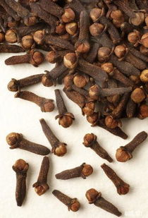 丁香佐料的神秘魅力