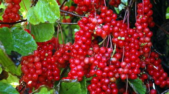 先来说说那些误区