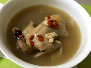 孕妇能否喝鸽子汤，有何影响