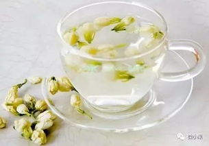 茉莉花， 美丽的植物