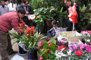 世博花鸟市场：高雅之选