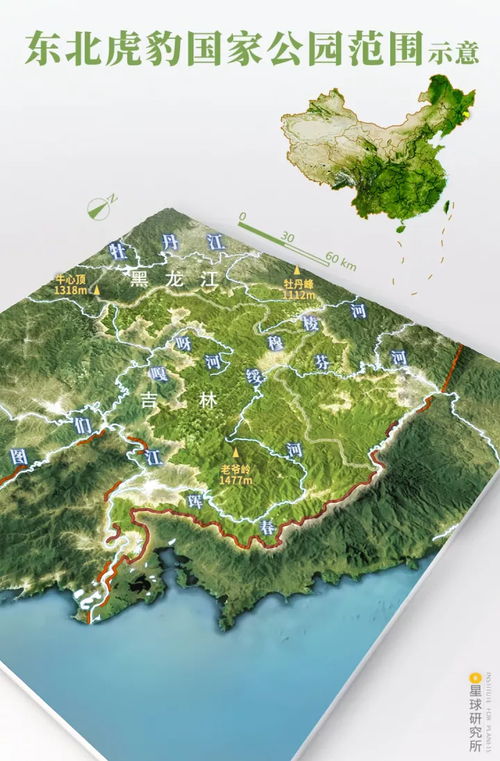 温带针阔混交林的壮美——东北虎豹国家公园