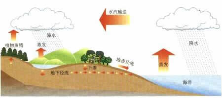 水循环：农业灌溉与生态平衡的黄金法则