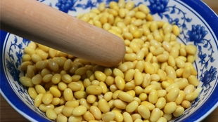 黄豆种子，得选好的