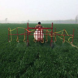 江苏绿化喷药厂家哪家产品质量好？揭秘那些隐藏的绿色力量