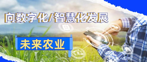 农业养殖数字化升级