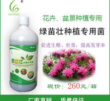 三种方法，让白玉兰重焕生机