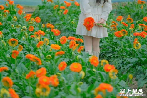 种植误区的代价