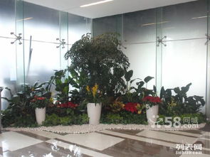 户外绿化花卉大盘点