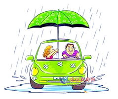 梅雨季养猪场湿度控制：科学通风