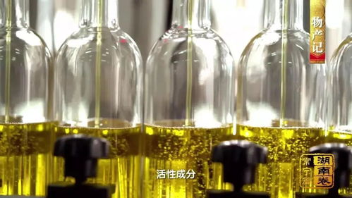 常宁齐家茶油公司：卓越效益，品质之选