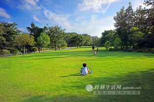 为什么公园里有些草被踩后反而长得梗茂盛呢？