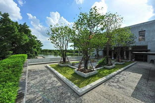 一、 建筑美感的粗浅理解