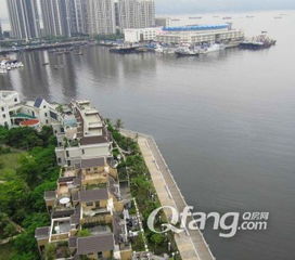 深圳主要玫瑰花批发市场大盘点