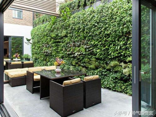 绿色环保：园林处的责任与担当