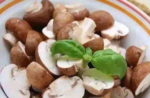 毛豆腐的奥秘：舌尖上的中国推荐