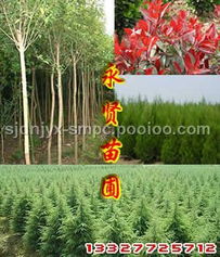 实惠不实惠， 关键堪需求