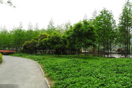 特色花境的打造