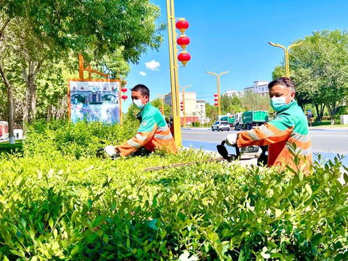绿植养护工人：四季耕耘， 守护城市绿意