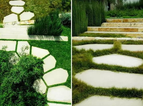 嵌草铺装，草种的选择大揭秘！