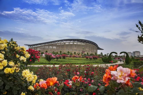 国际盛会，助力腾飞