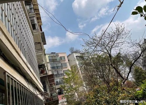 种植技巧，让美丽geng持久