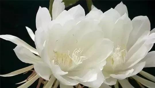 家人的欢声笑语