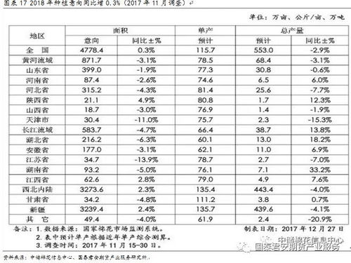 首张中转交割棉花期货仓单生成，标志着棉花期货市场交割体系正式建立