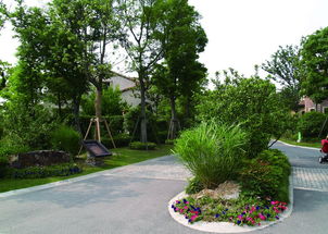 选择合适的植物