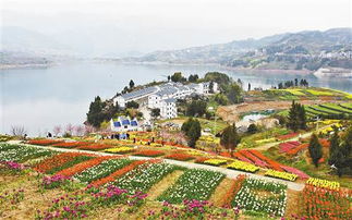 郁金香迷宫：花中皇后的秘密花园